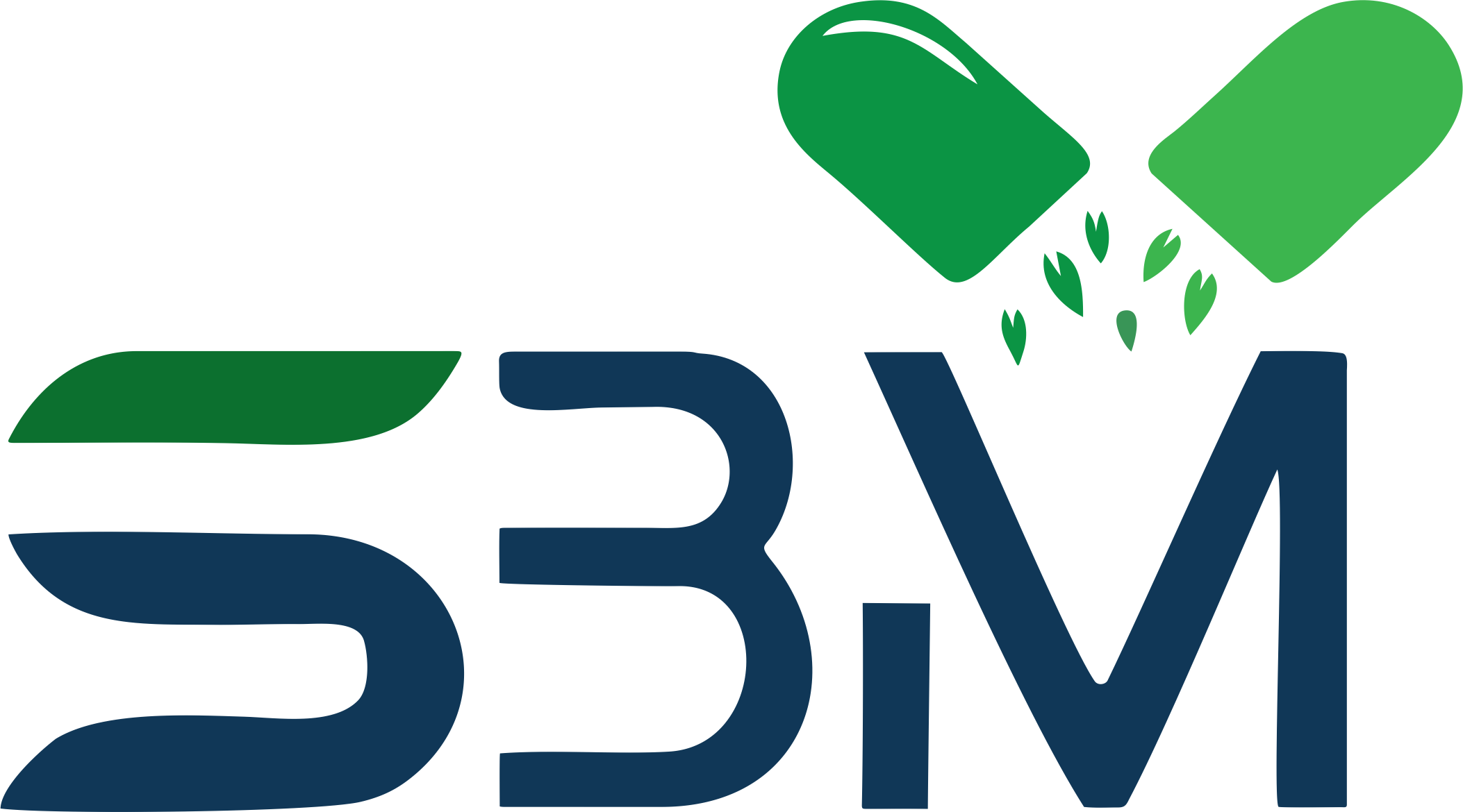 SBM Pharma Logo